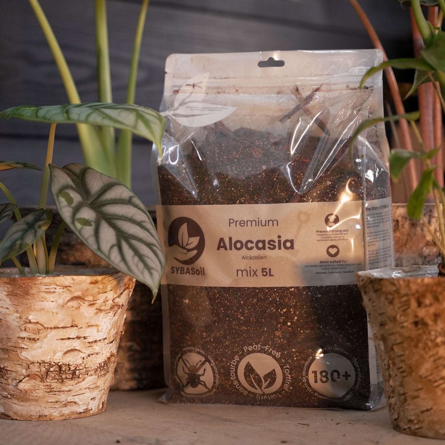 Paquete DIY de mezcla para selva tropical