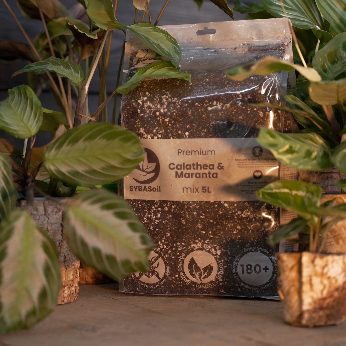 Paquete DIY de mezcla para selva tropical