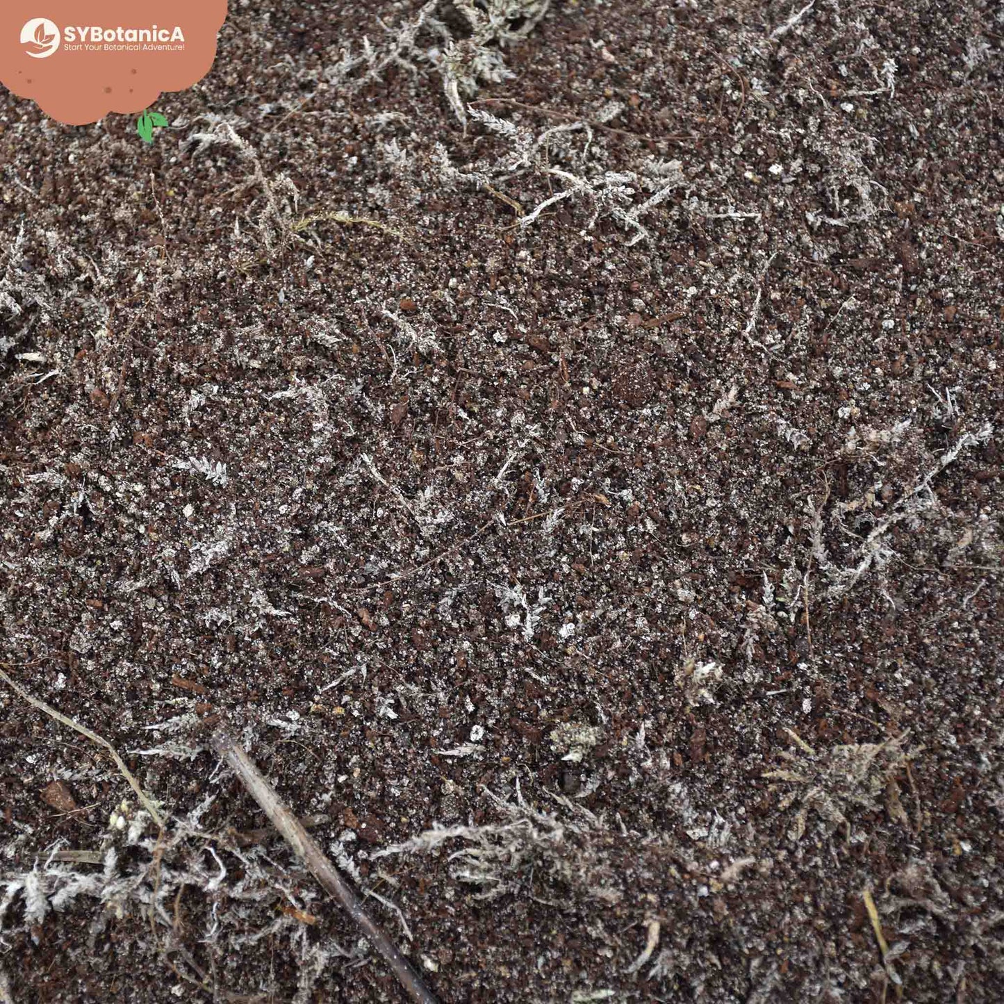 Mezcla para carnívoras