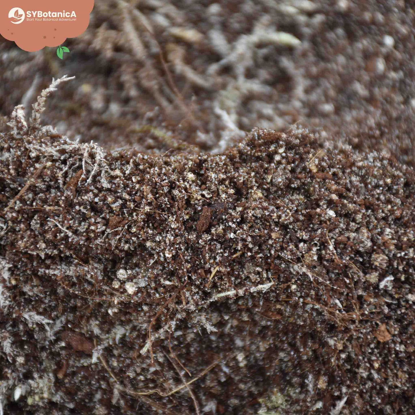 Mezcla para carnívoras