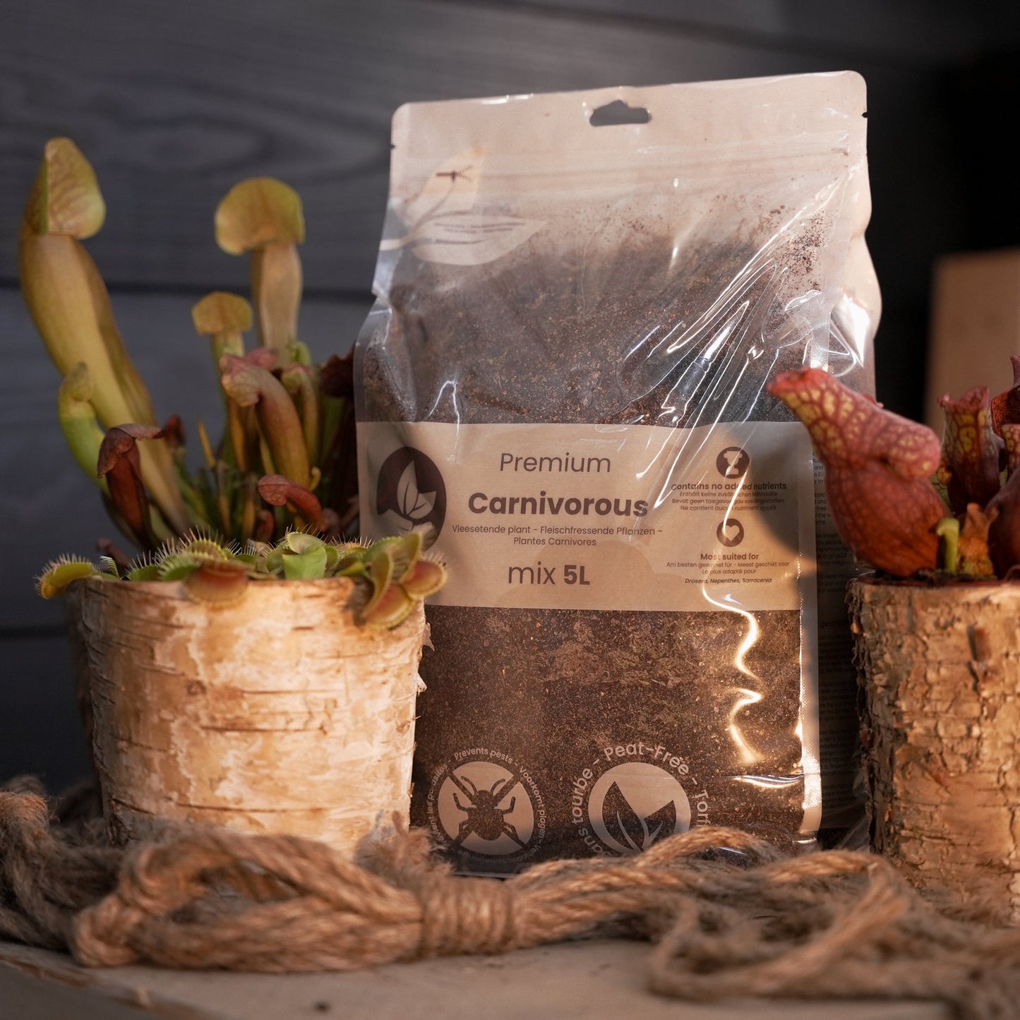 Mezcla para carnívoras