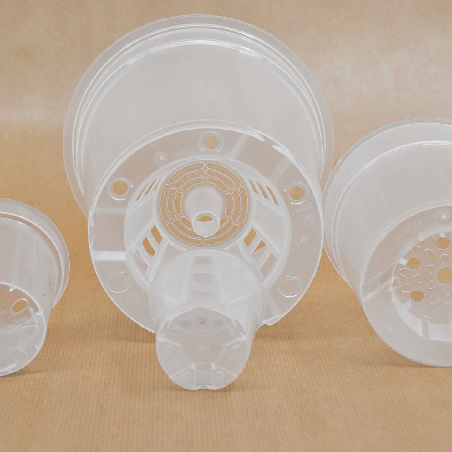 Macetas transparentes para orquídeas