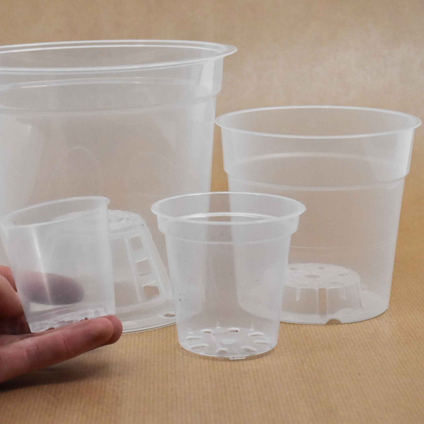 Macetas transparentes para orquídeas