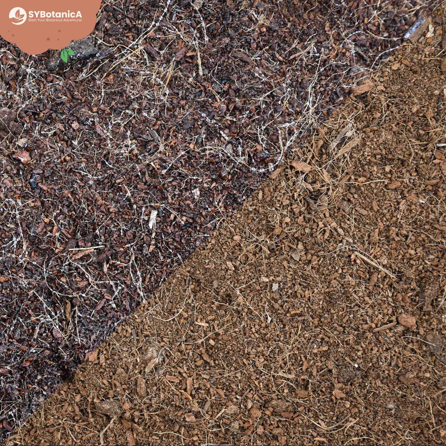 Fibra de coco sustrato