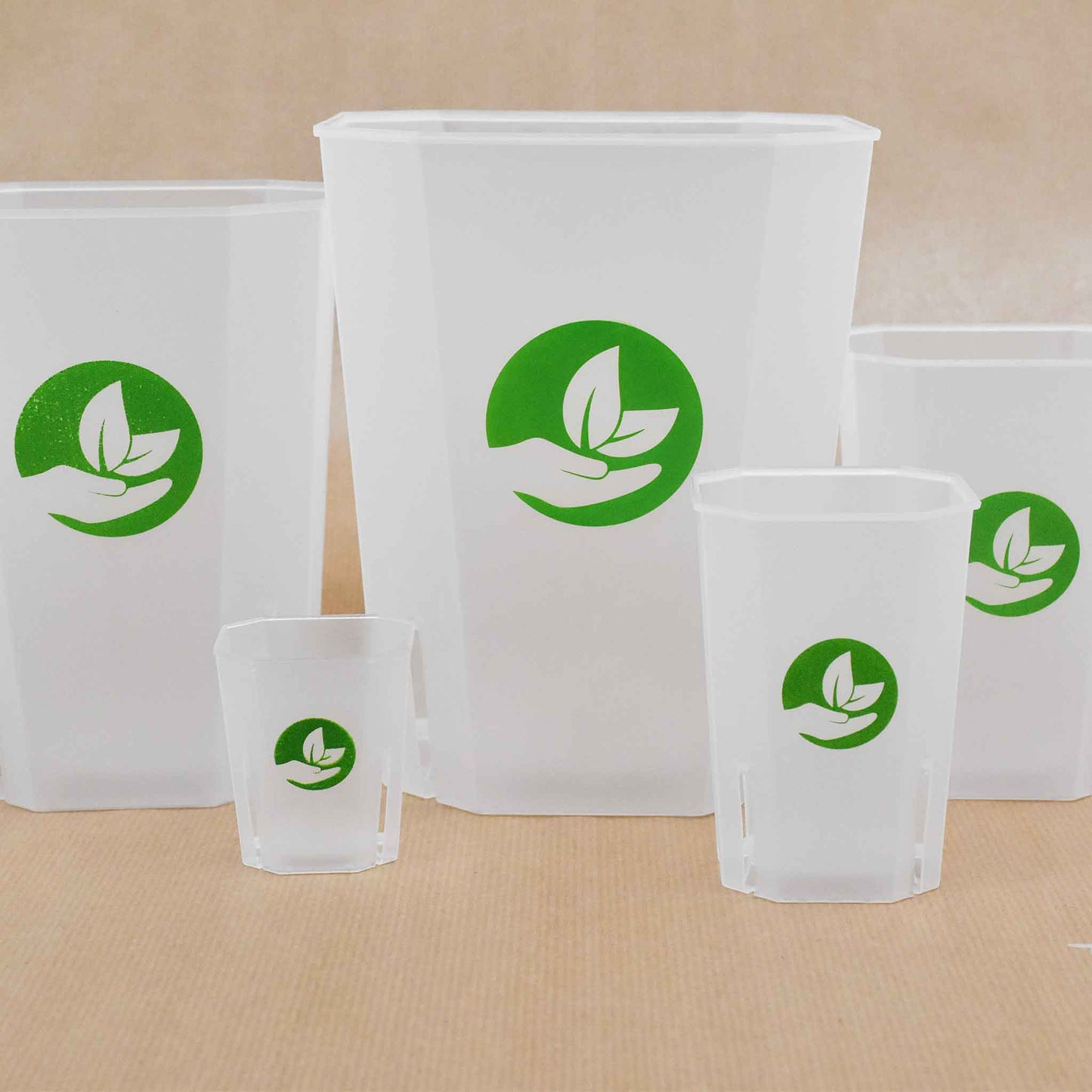 Square Clear Plant Pots