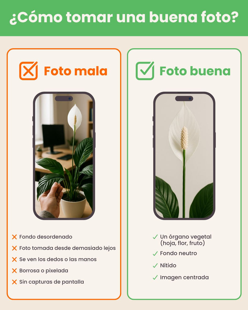 How to take a good picture?