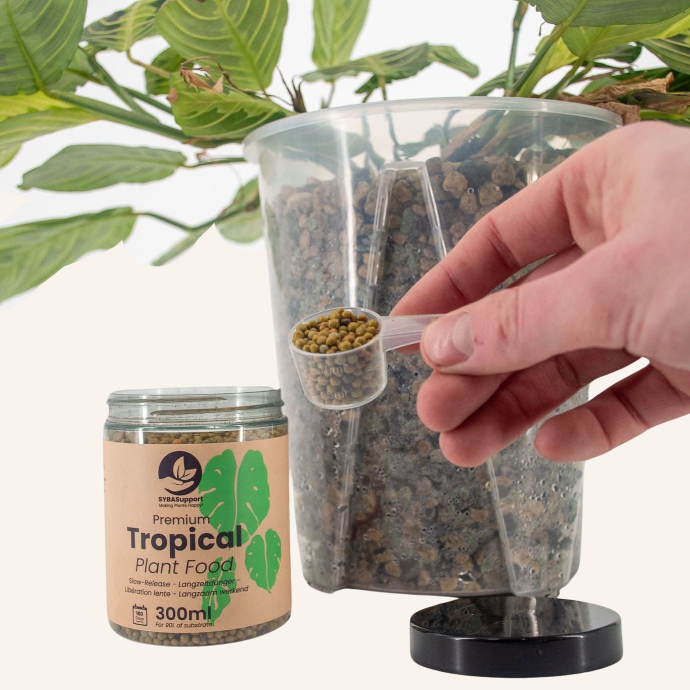 Alimento de Liberación Lenta para Orquídeas