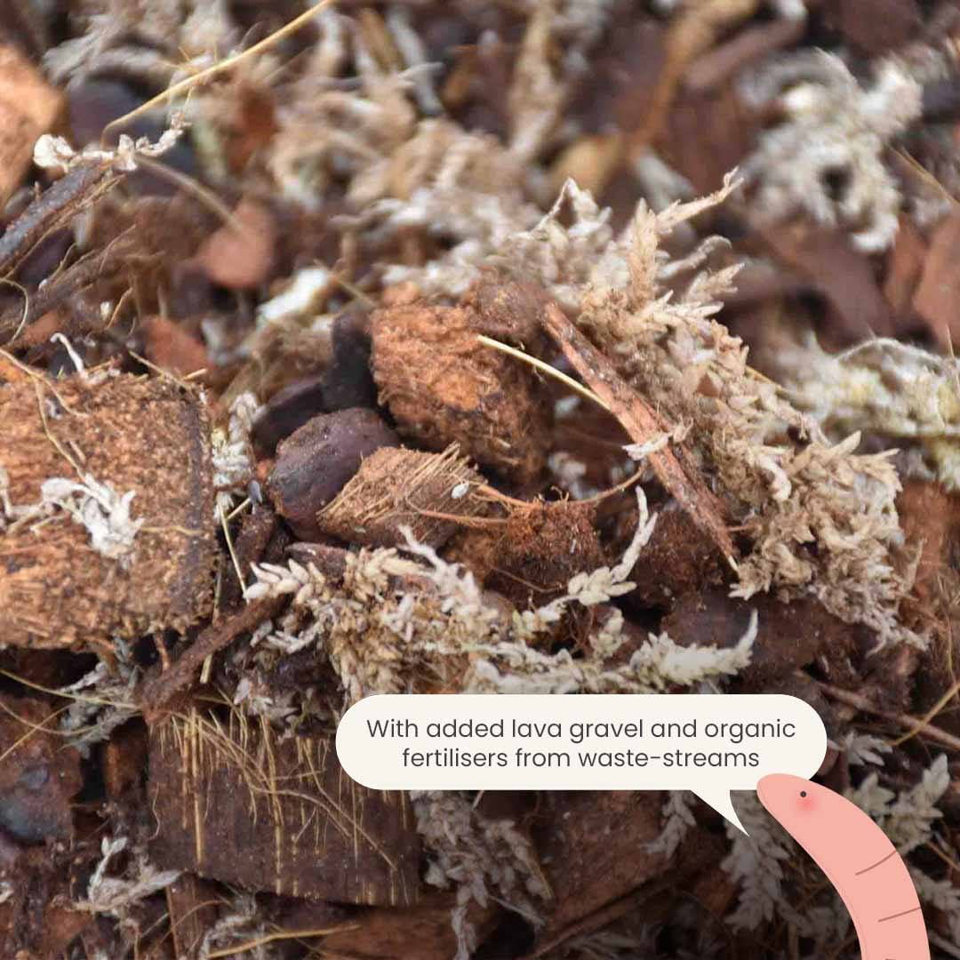 Mezcla para orquídeas