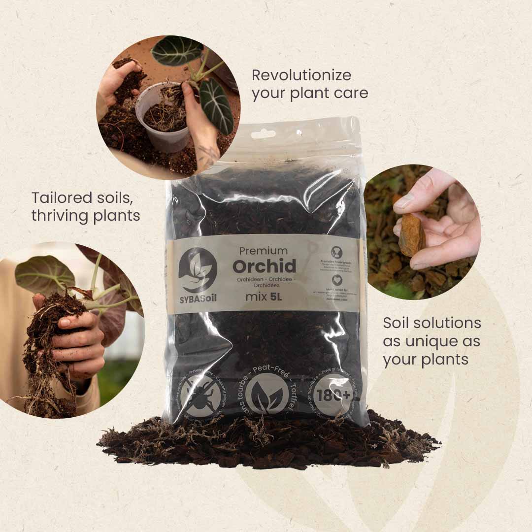 Mezcla para orquídeas