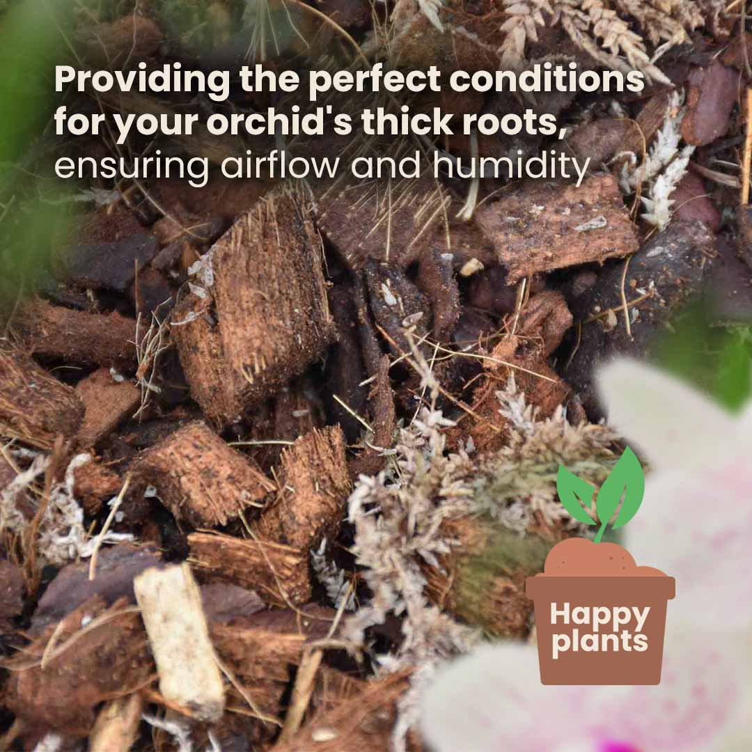 Mezcla para orquídeas