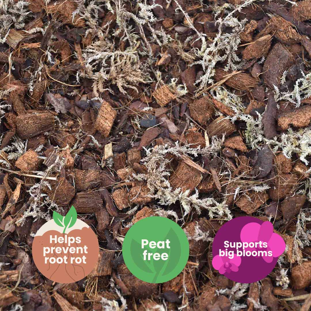 Mezcla para orquídeas