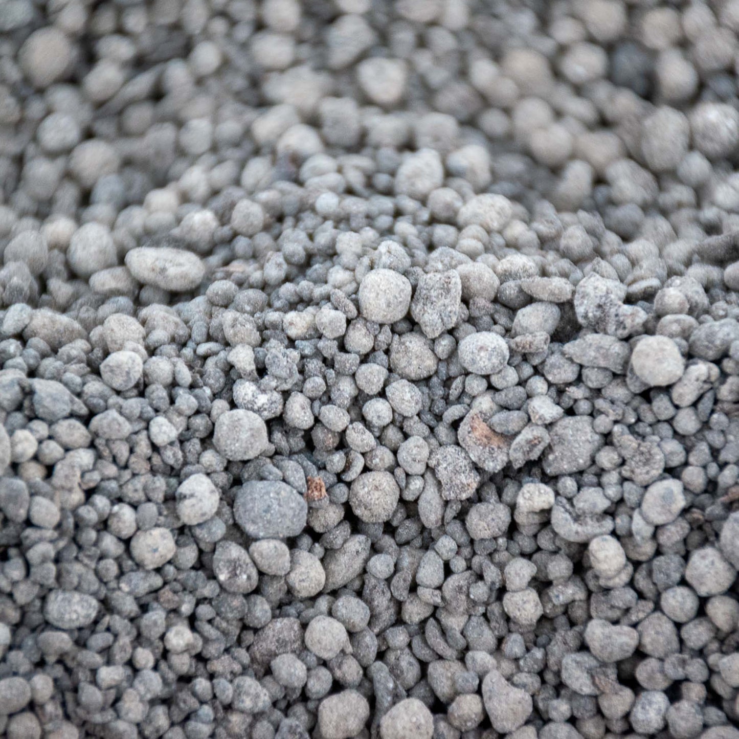 Alimento de Liberación Lenta para Orquídeas