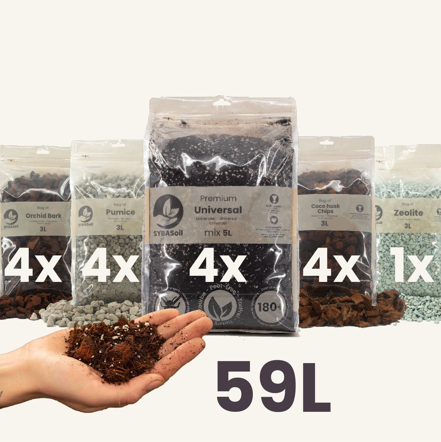 Súper paquete DIY de mezcla para aroides