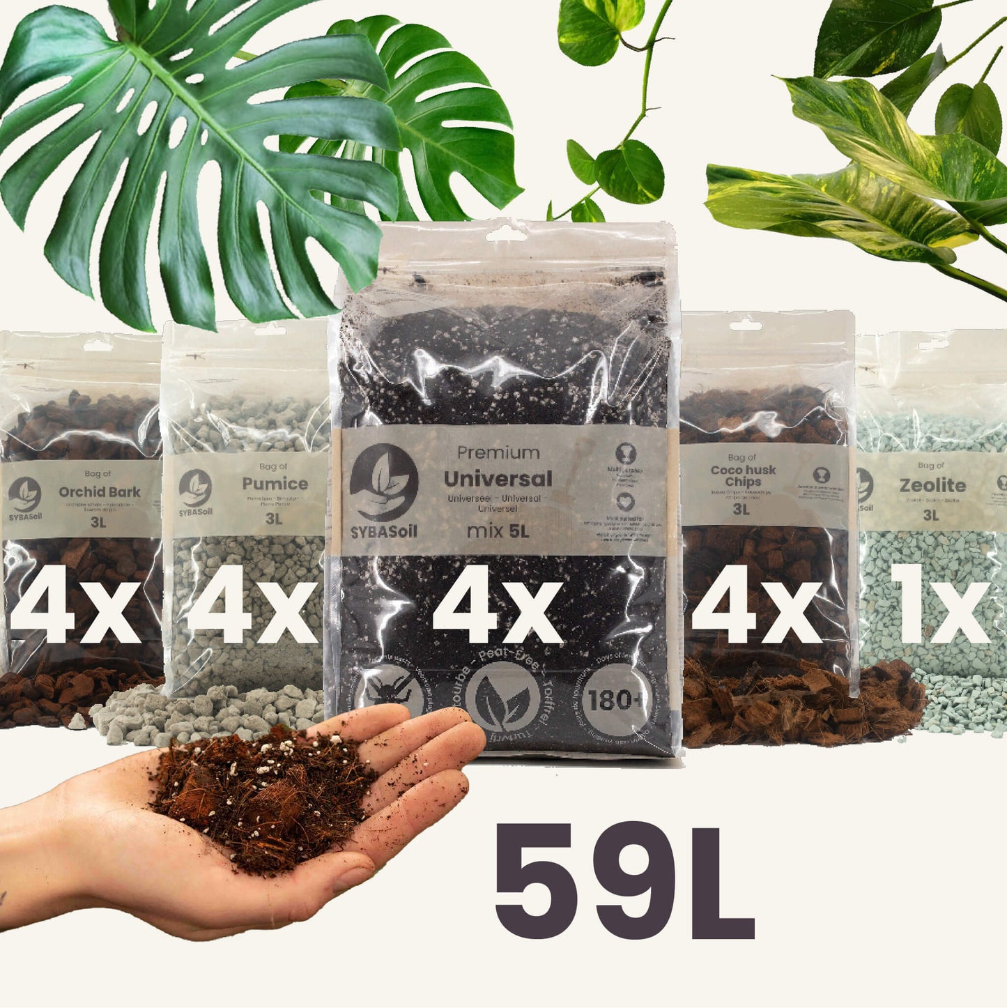 Súper paquete DIY de mezcla para aroides