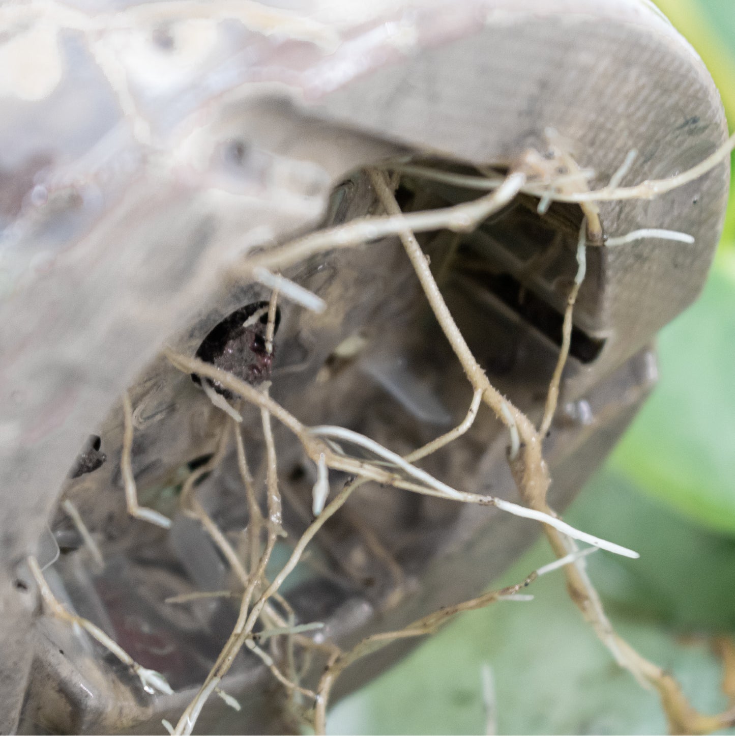 Mezcla mineral base (SYBA-Hydro, sin fertilizante)