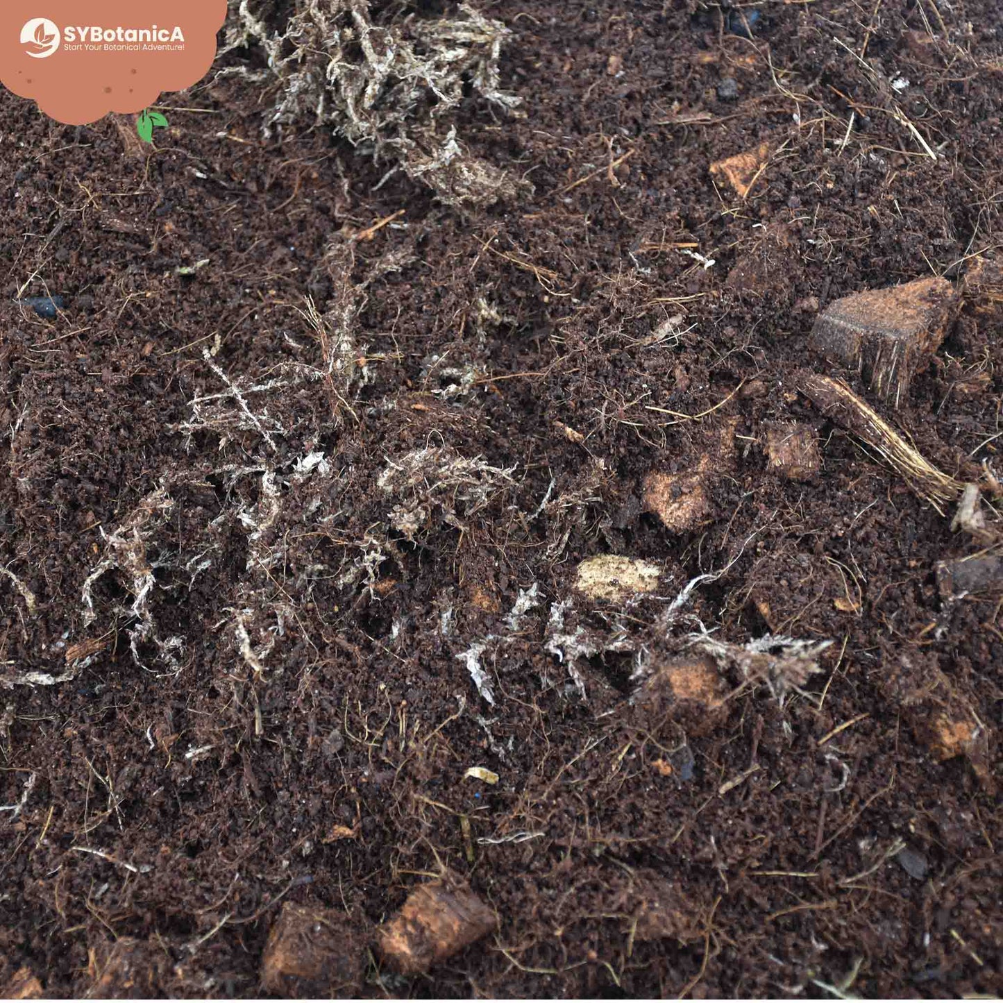 Mezcla para terrario