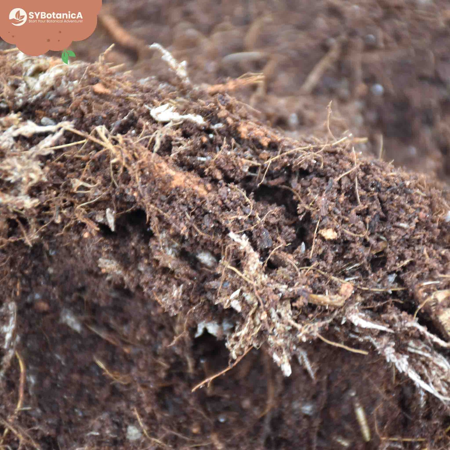 Mezcla para terrario