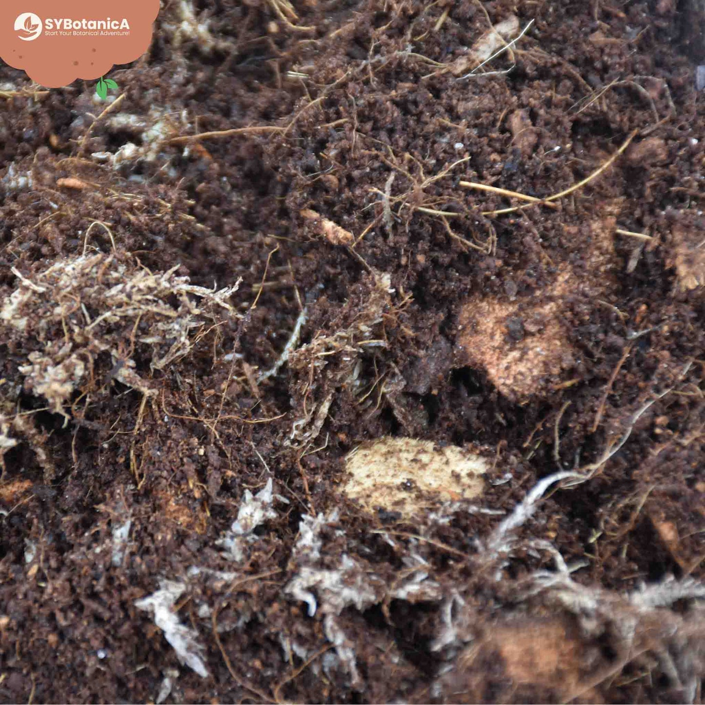 Mezcla para terrario