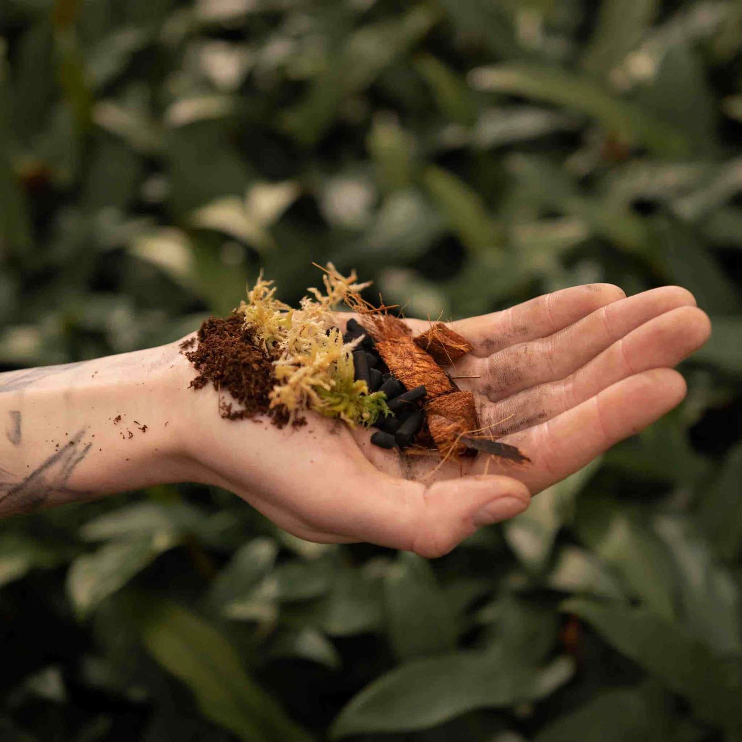 Mezcla para terrario