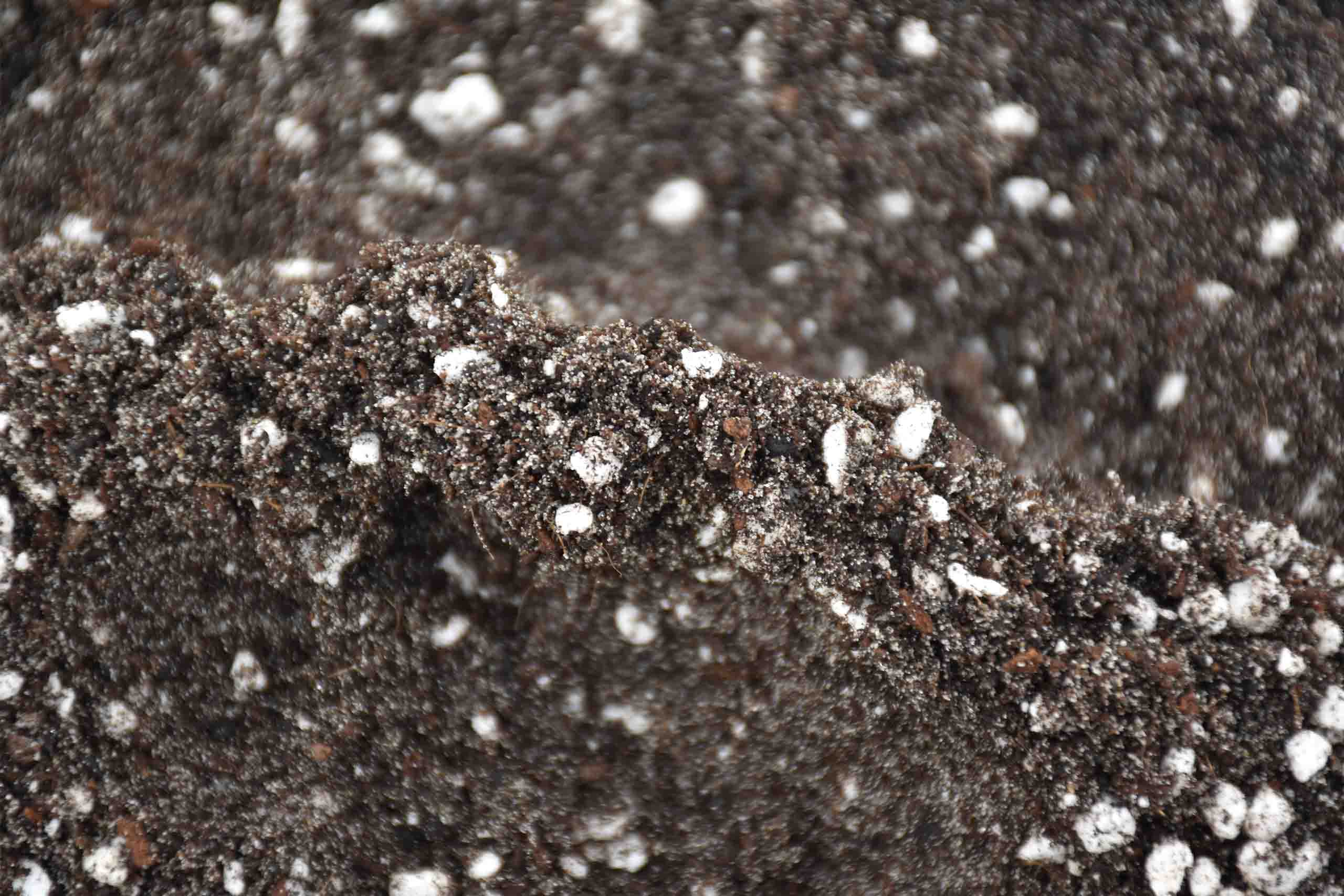 Peat-free soil mix detail