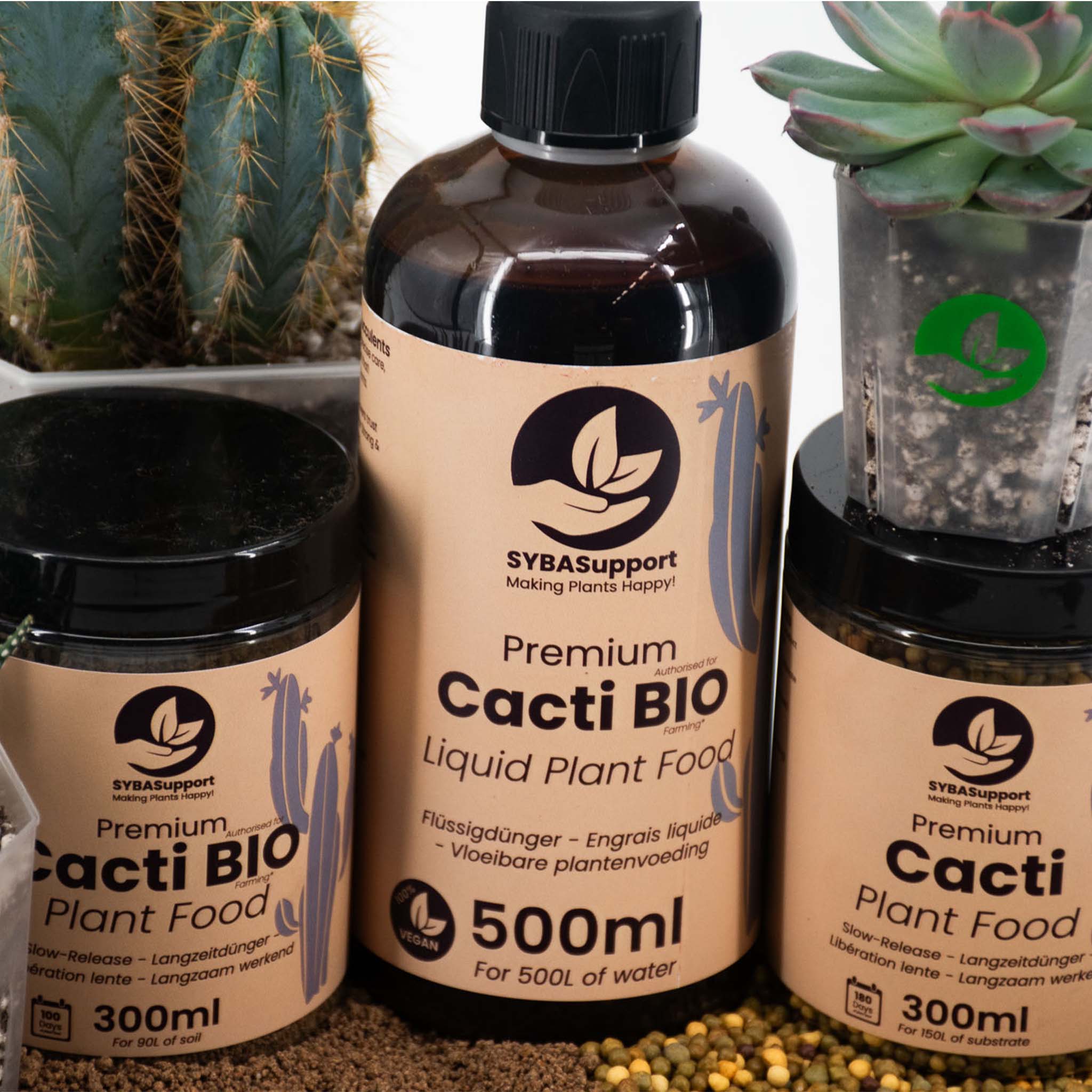 cactus plant food