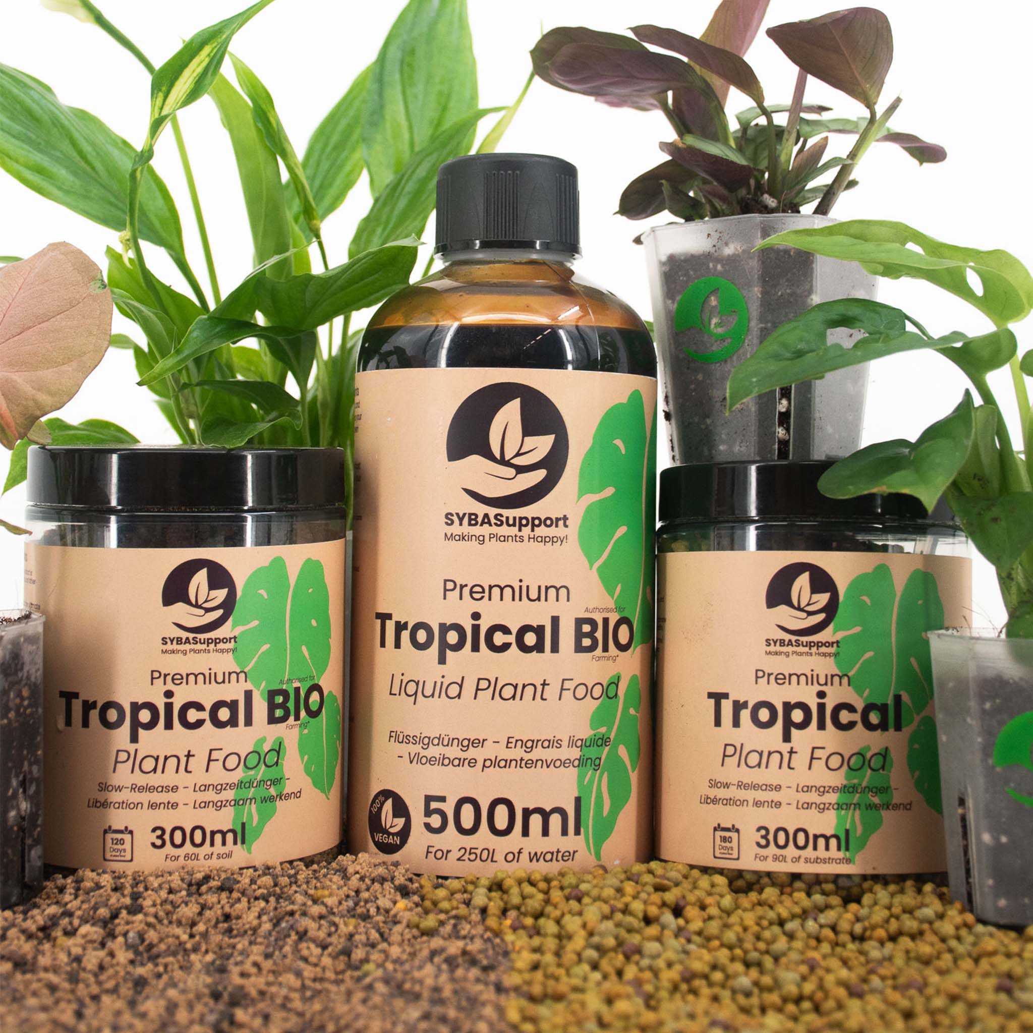 indoor plant food