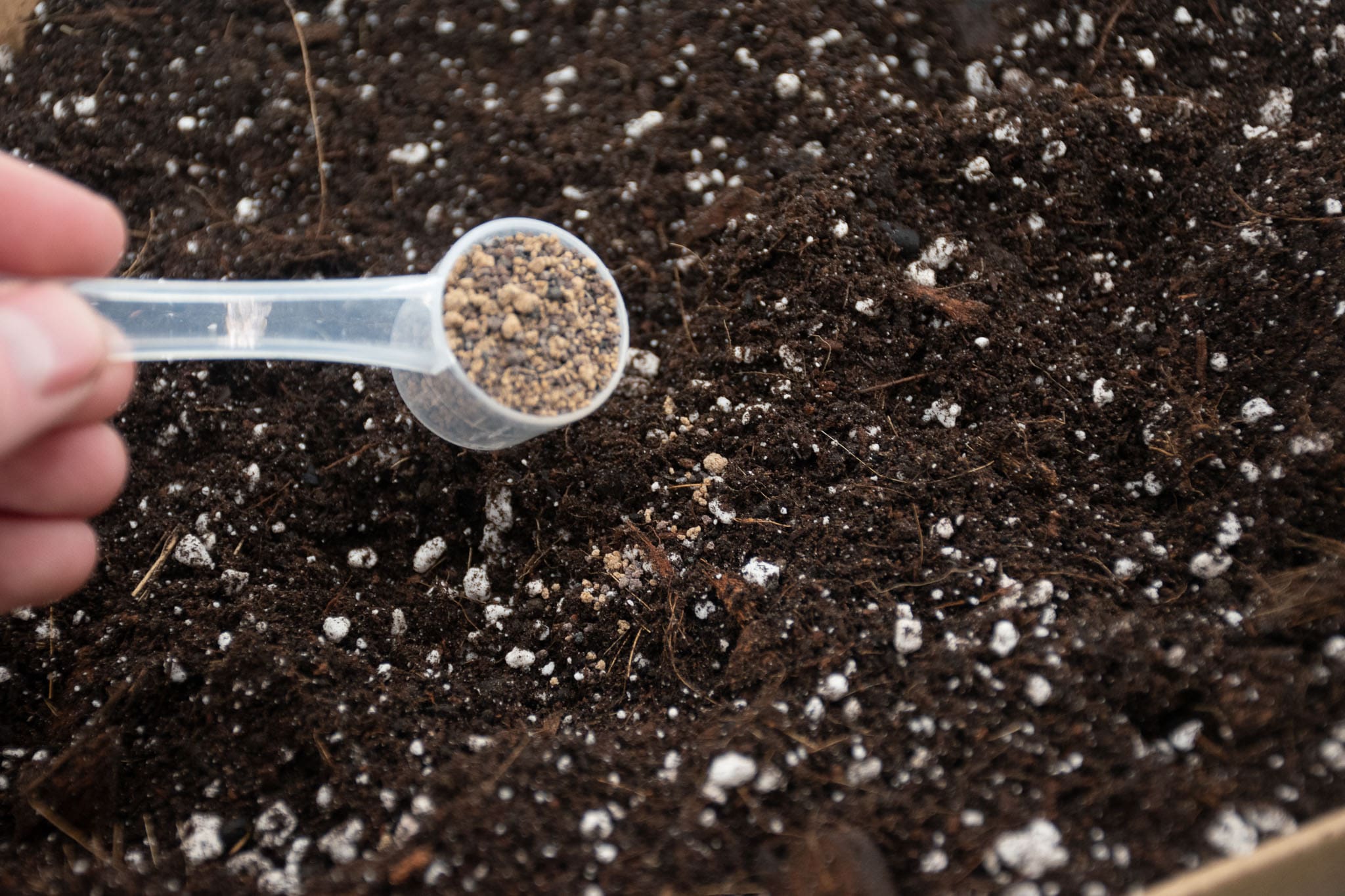 slow release plant food