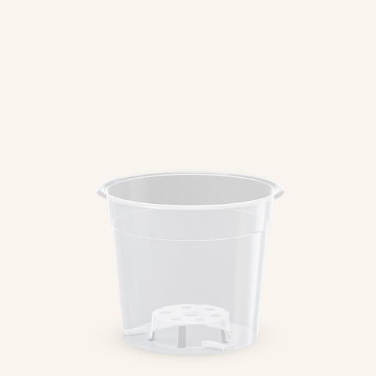 Macetas transparentes para orquídeas