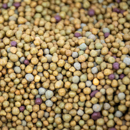 Alimento de Liberación Lenta para Plantas Tropicales